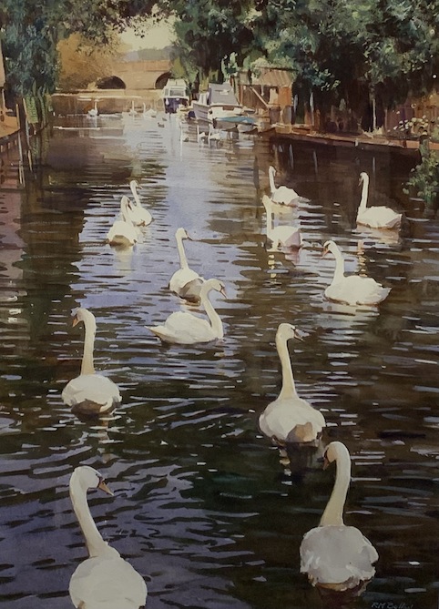 Richard Bolton | Swans| McAtamney Gallery and Design Store | Geraldine NZ